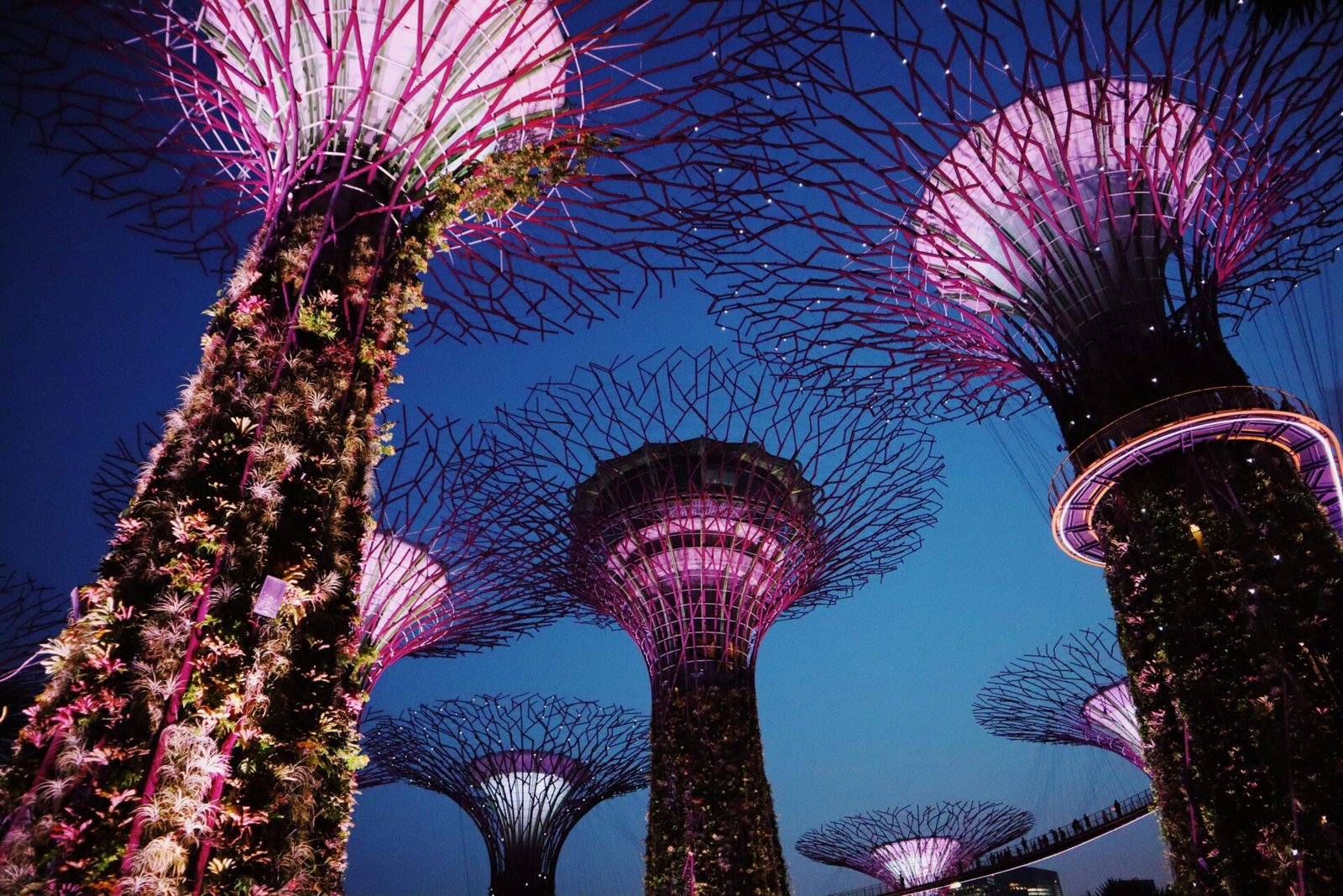 Singapur: Guía Completa — Modernidad, Naturaleza y Consejos