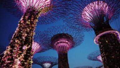 Singapur: Guía Completa — Modernidad, Naturaleza y Consejos