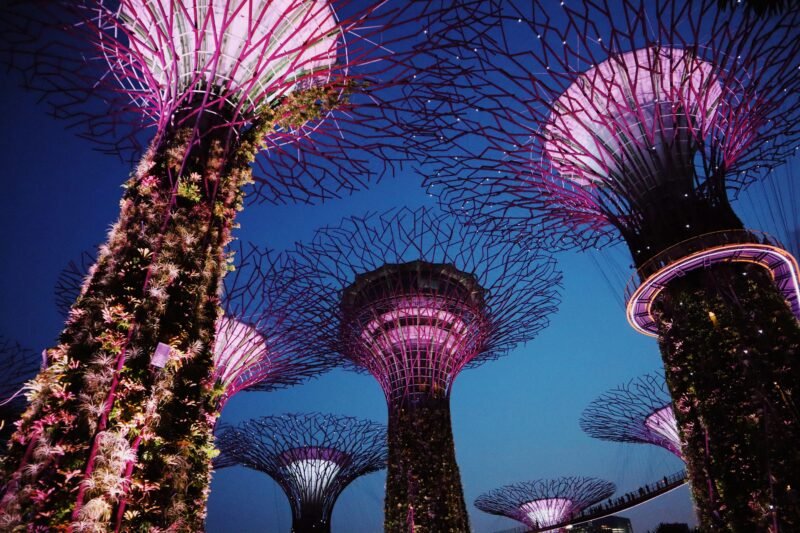 Singapur: Guía Completa — Modernidad, Naturaleza y Consejos
