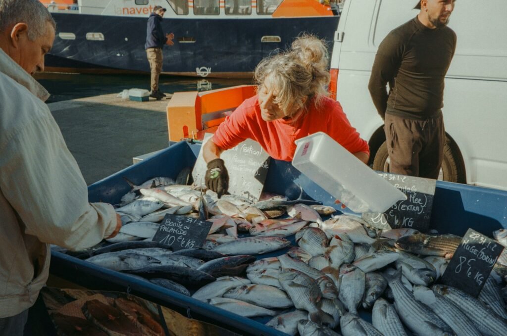 Toyosu Tuna Auction