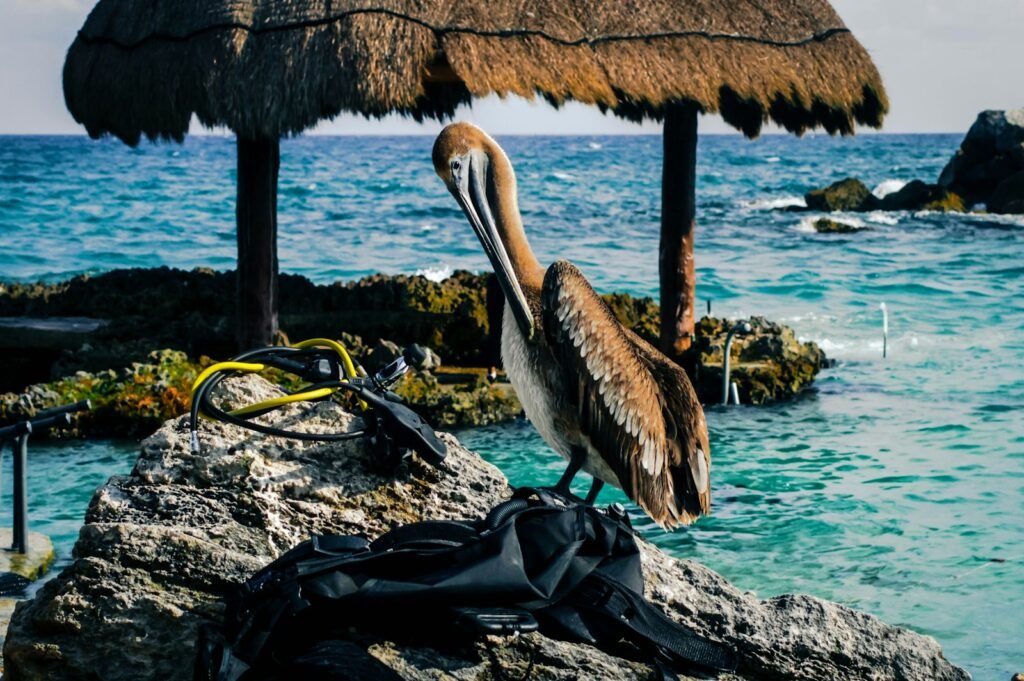 Xcaret Park