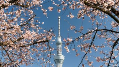 white and gray concrete tower under blue sky during daytime
