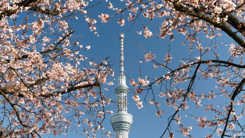 white and gray concrete tower under blue sky during daytime